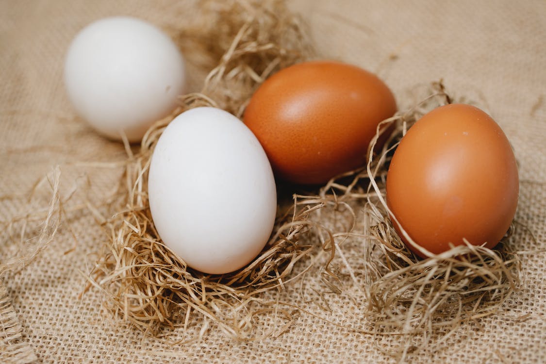 Difference Between White and Brown Eggs